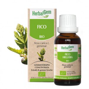 Herbalgem gemmoderivato FICO - 50 ml