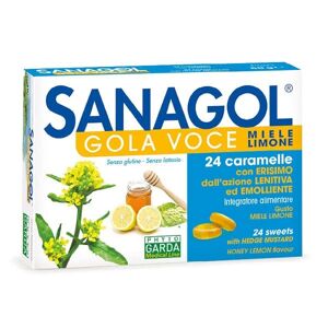 SANAGOL Gola Voce Miele/limone 24 Pezzi