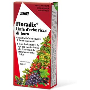 SALUS Floradix Ferro Integratore Alimentare 500 Ml