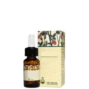 ARCANGEA Olio Essenziale Di Lavanda Bio 5 Ml