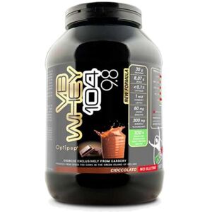 Net Integratori Vb whey 104 9.8 900 gr Proteine Isolate Idrolizzate Vari Gusti