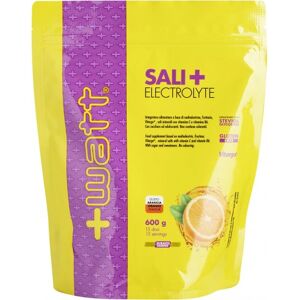 +Watt Sali+ Electrolyte con Vitargo Doypack 600 gr