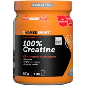 Named Sport 100% Creatina 250 gr