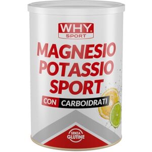 WHY sport Magnesio Potassio Sport 300 gr Gusto Agrumi