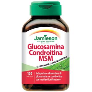 Qualifarma Jamieson Glucosamina Condroit Msm120cpr