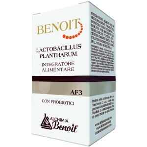 Omeosalus Diretto Benoit Lactobacillus Plantharu