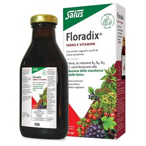 Salus Haus Gmbh & Co Kg Floradix Scir.250ml Salus