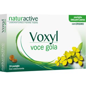 Pierre Fabre Pharma Srl Voxyl Voce Gola 24past 60g