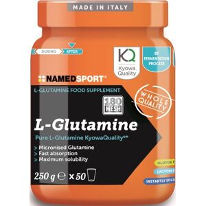 NamedSport L-Glutammina 250 g - glutammina