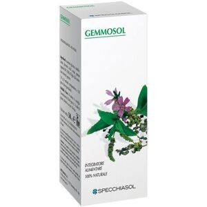 Specchiasol Gemmosol 36 Ribes Nero 50ml