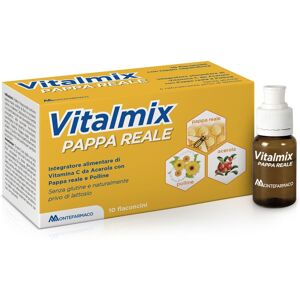 Vitalmix Pappa Reale Integratore Vitamina C 10 Flaconcini