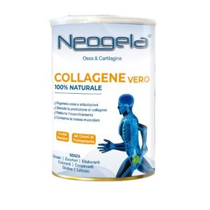 Zeta 92 Neogela Ossa e Cartilagine Collagene Vero Polvere 400g - Integratore per la Salute delle Articolazioni