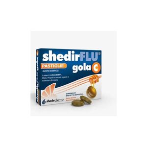 Shedir Pharma Srl Unipersonale SHEDIRFLU Gola C 48Past.
