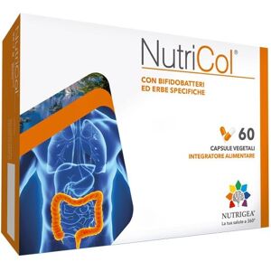 Nutrigea Srl Nutricol 60 Capsule Vegetali - Integratore Antiossidante per il Benessere Generale