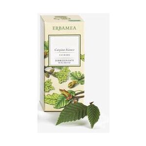 Erbamea Srl Fraxinus Excels Gemme Gemmoder