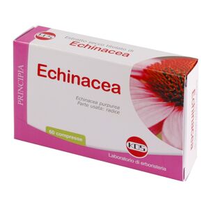 Kos Srl Echinacea Estratto Secco 60cpr