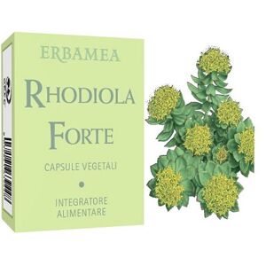 Erbamea Srl Rhodiola Forte 24 Cps Ebm