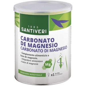 Carbo Magnesio 110gr Santiveri