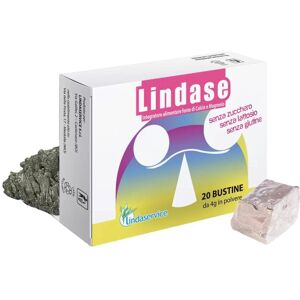 Lindaservice Srl Lindase Polvere 20buste