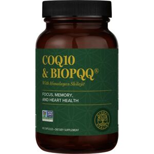 Global Healing CoQ10 & bioPQQ con shilajit - 60 caps