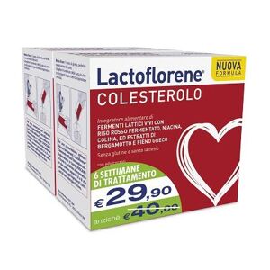 Montefarmaco Lactoflorene Colesterolo Bipack 40 Bustine