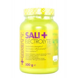 +WATT Sali+ Electrolyte 500 Grammi Arancia