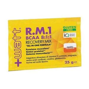 +WATT R.m.1 Bcaa 8:1:1 Recovery Mix