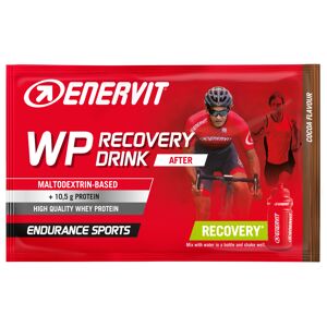 Enervit WP Recovery Drink Cacao per Recupero Energie Post Allenamento Bustina da 50 gr