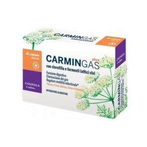 Cagnola Carmin Gas Plus 40 capsule - integratore per favorire la digestione