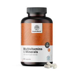 HealthyWorld Multivitamine e minerali, 365 capsule