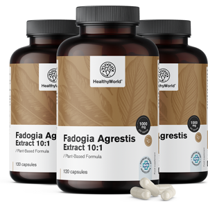 HealthyWorld 3x Fadogia Agrestis 1000 mg, totale 360 capsule