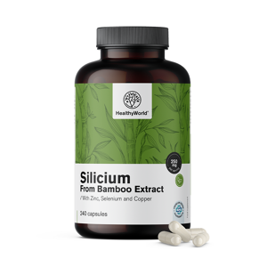 HealthyWorld Silicio 250 mg – dall'estratto di bambù, 240 capsule