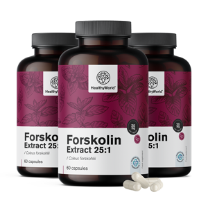 HealthyWorld 3x Forskolina – dall'estratto di ortica indiana 20 mg, totale 180 capsule