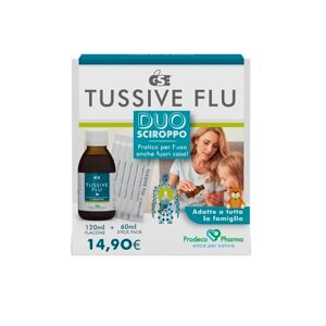 Gse Tussive Flu Duo Fl+6stick