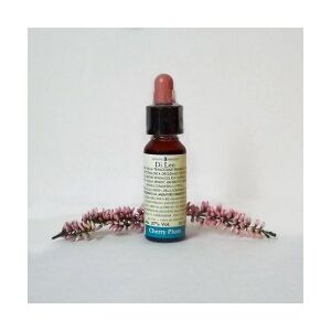 LABORATORIO ERBORISTICO DI LEO N°6 Di Leo Fiori di Bach Cherry Plum Flacone da 10ml