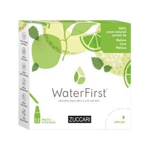 ZUCCARI Srl WATERFIRST MELONE LIME MELISSA 12 STICK