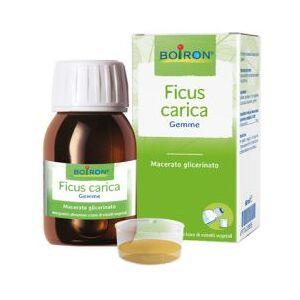 Boiron srl FICUS CARICA MG 60 ML Boiron