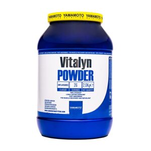 YAMAMOTO NUTRITION Vitalyn POWDER Vitargo® 2000 grammi 