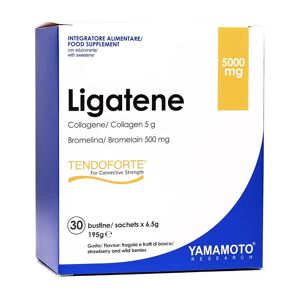 YAMAMOTO RESEARCH Ligatene Tendoforte® 30 bustine da 6 5 grammi 