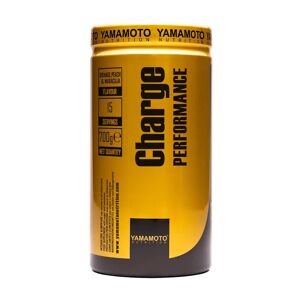 YAMAMOTO NUTRITION Charge PERFORMANCE Palatinose™ 700 grammi 