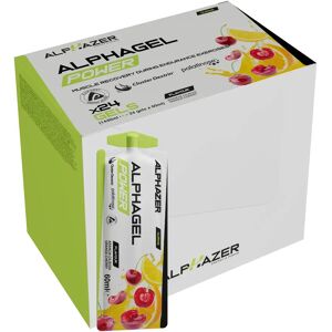 ALPHAZER Alphagel Power Palatinose™ Ajipure® 24 gel da 60 ml 