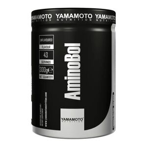 YAMAMOTO NUTRITION AminoBol Kyowa® 300 grammi 