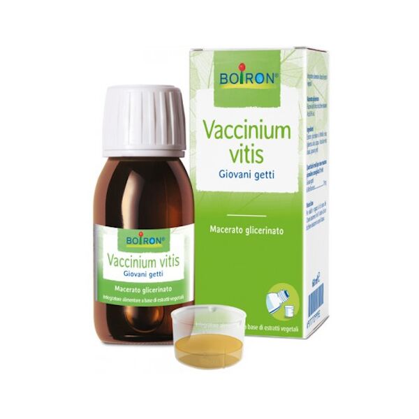 boiron srl vaccinium vitis macerato glicerico 60ml boiron