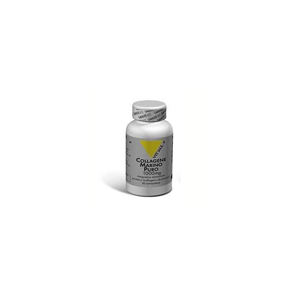 vit'all+ vital plus collagene marino pu