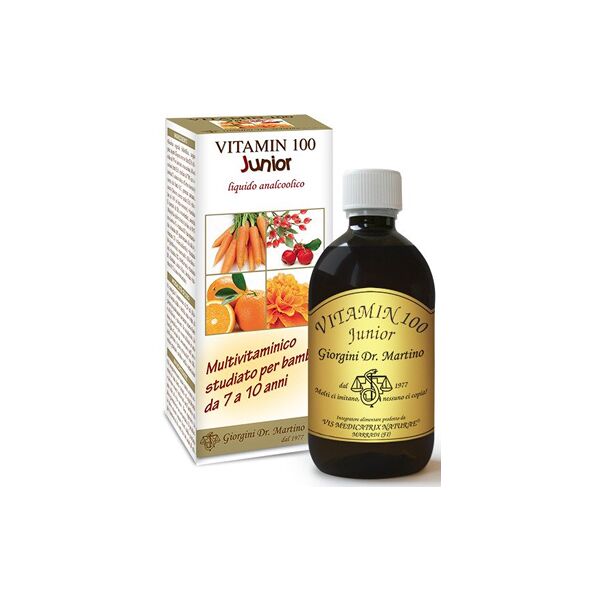 dr.giorgini ser-vis srl vitamin 100 junior 500ml svs