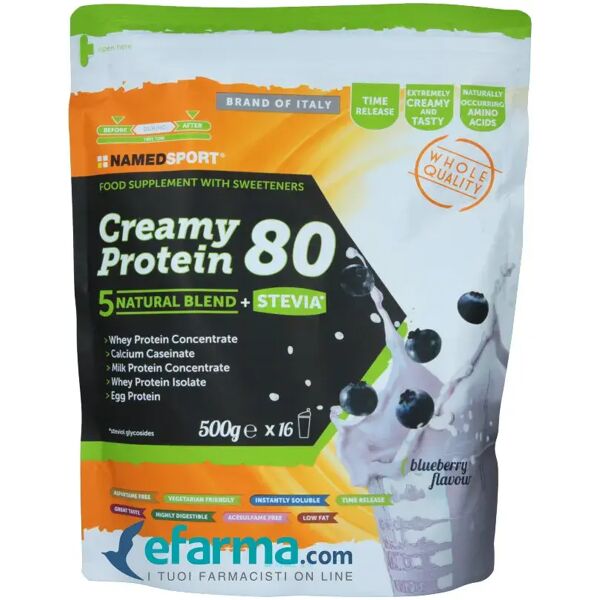 named sport creamy protein 80 blueberry blend proteico 500 g