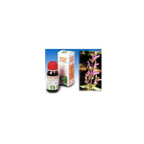 specchiasol srl sp.salvia off.tm 50ml