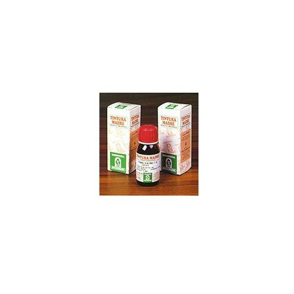 specchiasol srl sp.hieracium pilosella tm 50ml