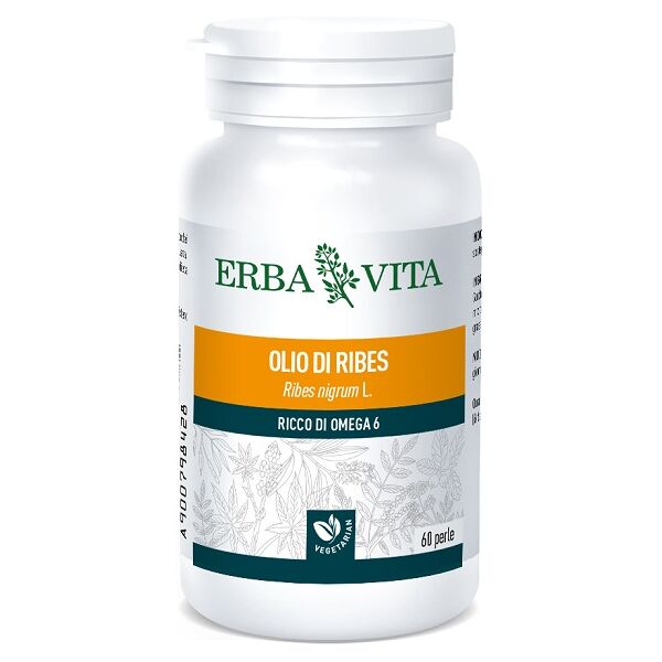 erba vita olio ribes 60 perle ebv