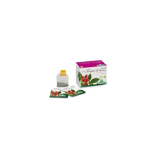 specchiasol infuso bio fruttabosco 20f.spe